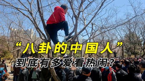缅甸内战吃瓜现场视频,战火纷飞下的吃瓜现场