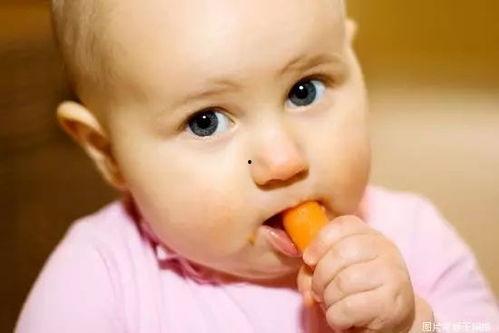 小宝宝吃蜜瓜好吗视频大全,视频大全揭秘营养美味新选择