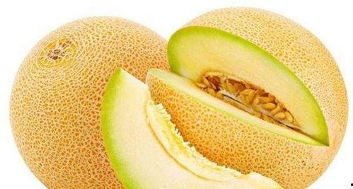 傻瓜吃哈密瓜视频大全下载,傻瓜吃哈密瓜视频大全，笑料横生，欢乐无限！