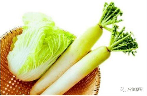 面瓜需不需要去皮吃呢视频,面瓜去皮还是整吃？揭秘面瓜食用真相