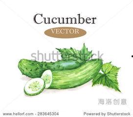 吃瓜背景图视频