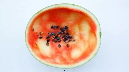 勺子吃瓜技巧图解视频,视频图解带你开启美味之旅