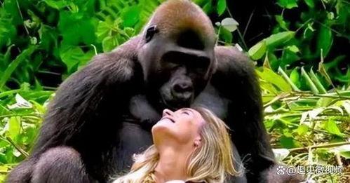 女人搞笑吃瓜像猩猩视频,女人搞笑模仿猩猩，萌态十足引网友爆笑