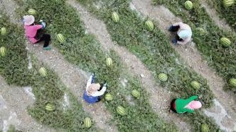 山水吃瓜群众视频,揭秘视频背后的趣味与思考