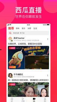 湛江吃瓜事件视频播放下载,视频播放下载背后的网络热议